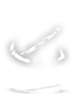 19629i.png