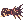 19757s.png
