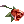 3516s.gif