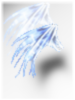 5041.png