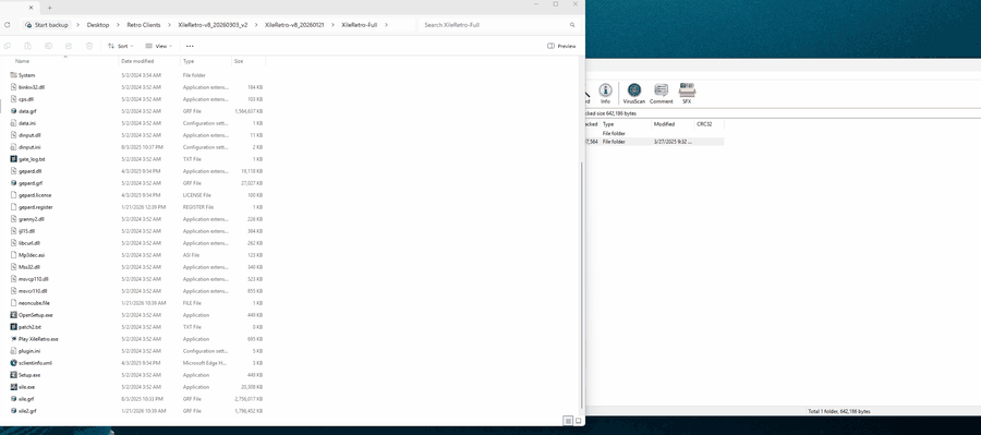 Copying the dgVoodoo files into the XileRetro folder